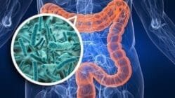 Flora Intestinal1
