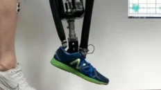 calfjpg1