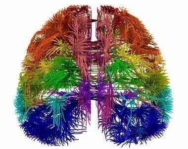 mapa cerebro