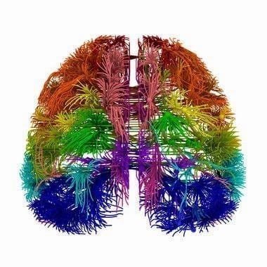 mapa cerebro