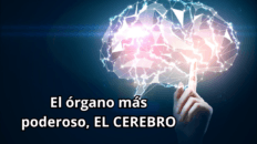 mente mini