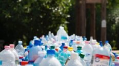 la ue prohibe el uso de bisfenol a en los envases de alimentos por riesgo para la salud