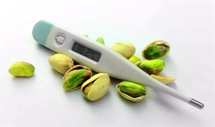 pistachos para combatir la gripe sus propiedades para ayudar al sistema inmunitario