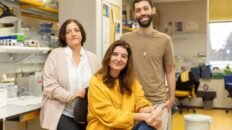 nuevos mecanismos que aumentan la agresividad del cancer pediatrico sarcoma de ewing