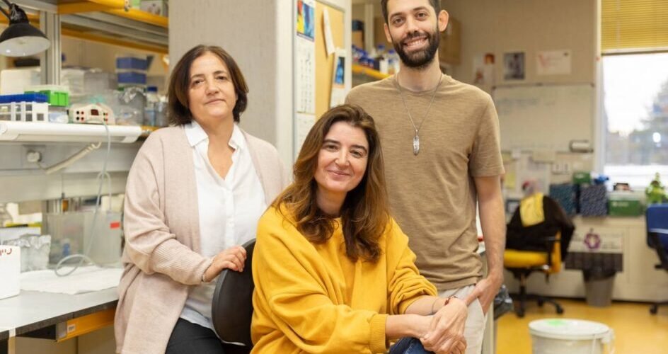 nuevos mecanismos que aumentan la agresividad del cancer pediatrico sarcoma de ewing