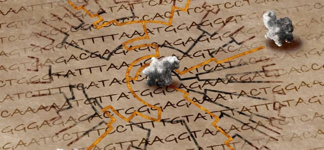 la estructura de las proteinas revela la historia de la evolucion