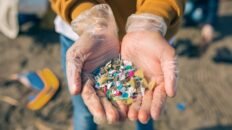 los microplasticos pueden causar trombos en el cerebro