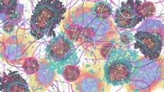 descubren como los carcinomas orales enganan a nuestras defensas