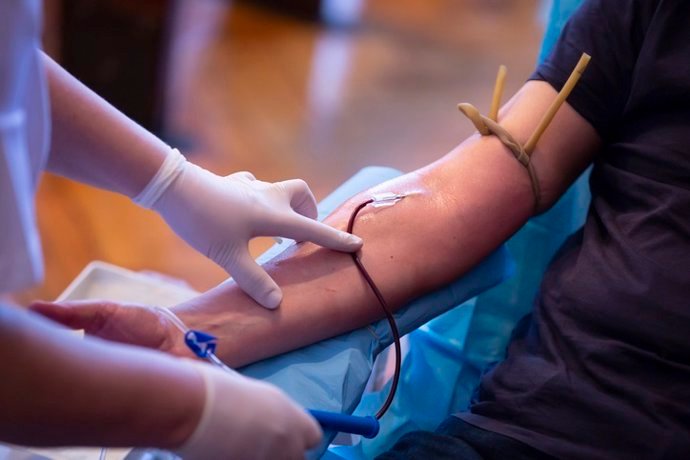 transfusiones de plasma joven la clave para revertir el envejecimiento