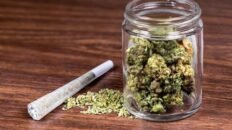 cientificos espanoles descubren biomarcadores de riesgo de esquizofrenia por consumo de cannabis