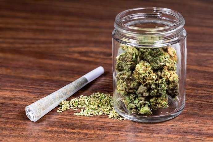 cientificos espanoles descubren biomarcadores de riesgo de esquizofrenia por consumo de cannabis