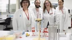 alertan de un incremento de infecciones graves por streptococcus dysgalactiae en espana
