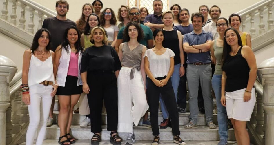 celulas car t mas versatiles y economicas para tratar canceres hematologicos