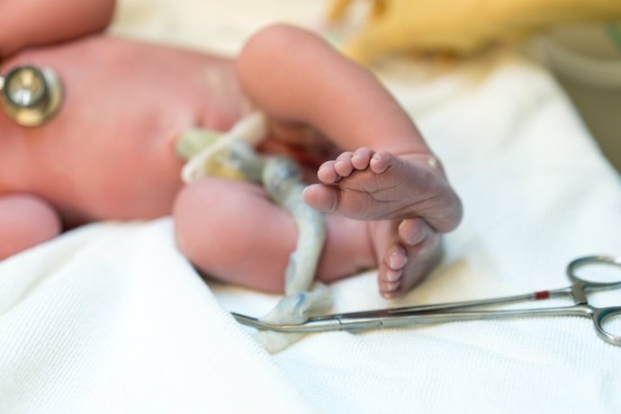 el adn del cordon umbilical podria predecir futuras enfermedades