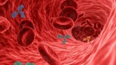 una nueva prueba del colesterol malo previene con mas precision enfermedades coronarias