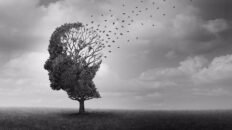 aumentar la actividad fisica en la mediana edad podria proteger del alzheimer segun un estudio