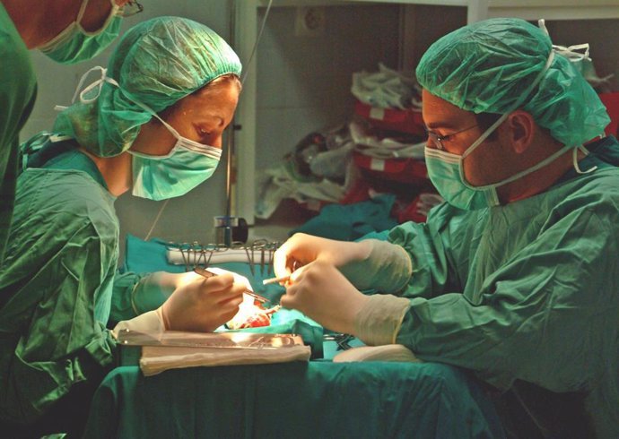 nuevo record en trasplantes de medula osea en espana 3844 procedimientos en 2024