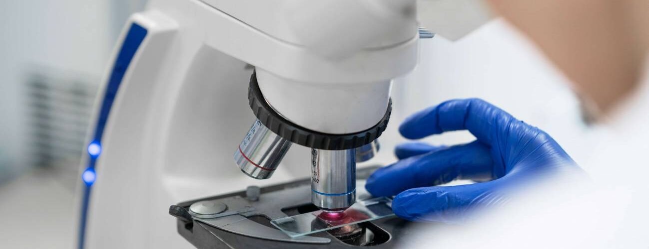 la falta de una proteina inicia el cancer de colon en ratones