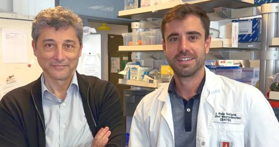 la proteina klotho prolonga la esperanza de vida