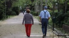 el papel clave de los receptores del gusto amargo en el envejecimiento