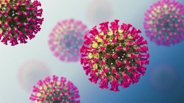 la pandemia de covid 19 redujo la esperanza de vida mundial en 18 anos