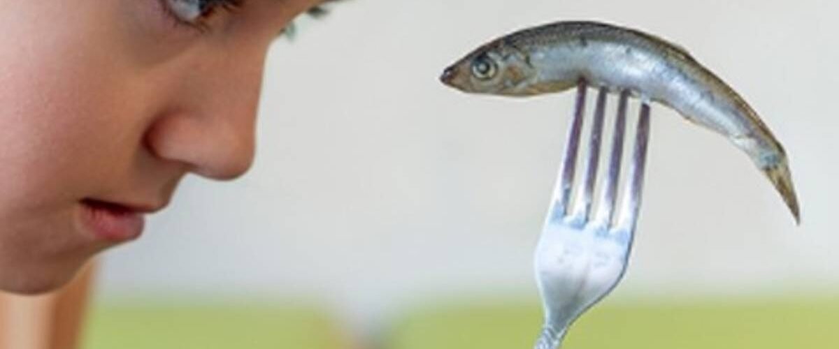una evaluacion cuestiona que el pescado mejore la inteligencia infantil