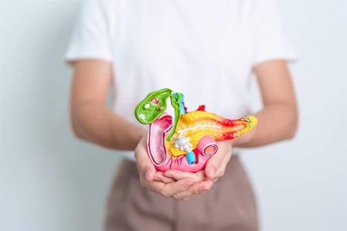 cuando las hormonas se rebelan asi actuan los tumores neuroendocrinos