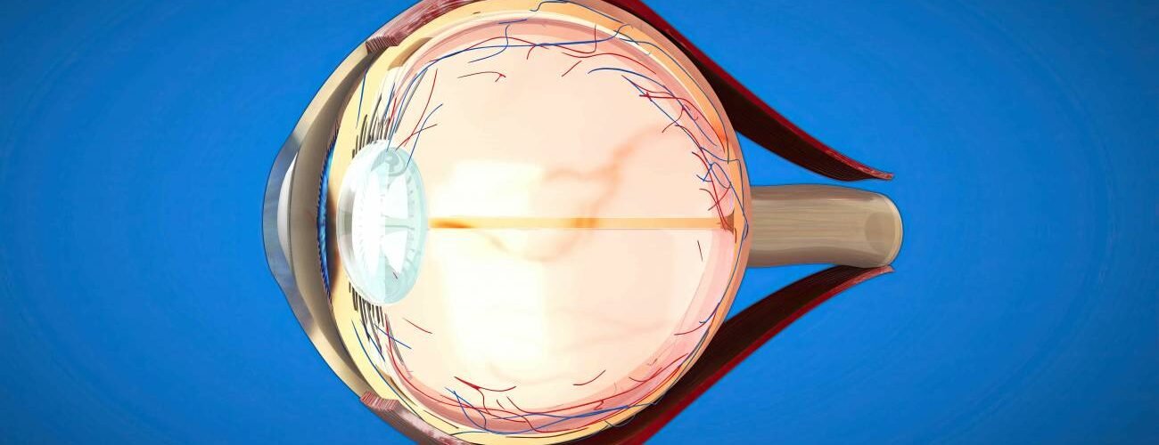 crean microesferas cargadas de farmacos para tratar el glaucoma de forma integral