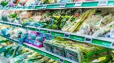 detectan aditivos asociados al plastico en el 85 de 109 alimentos analizados