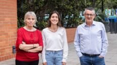 identifican las regiones del adn y los genes clave que activan la regeneracion del higado
