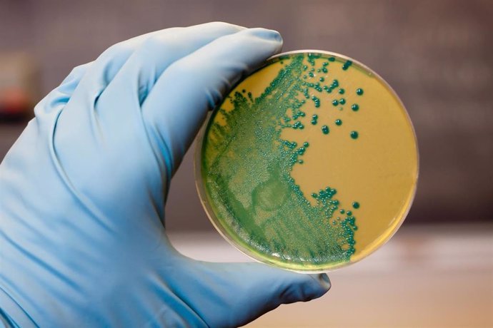 las infecciones por escherichia coli y listeria alcanzan maximos historicos en la ue