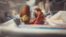 el microbioma del bebe podria protegerlo frente a infecciones viricas posteriores