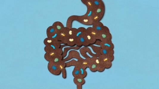 crece-el-debate-sobre-el-trasplante-fecal:-¿cura-milagrosa-o-riesgo-a-largo-plazo?