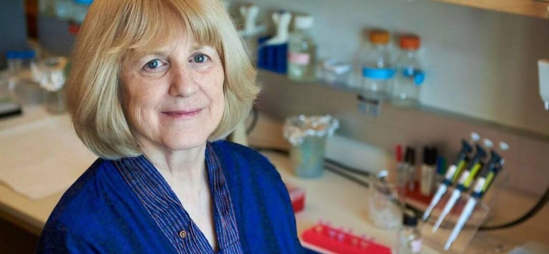 mary claire king premio princesa de asturias de investigacion cientifica y tecnica