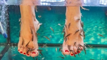 fish spa cuidado de lujo o riesgo innecesario para tus pies