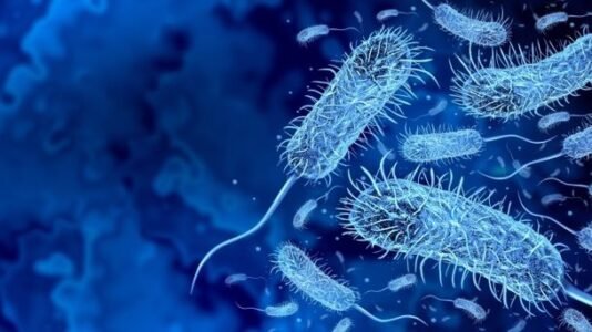 la-oms-registra-en-mayo-un-aumento-del-35%-del-numero-de-casos-de-colera-a-nivel-mundial