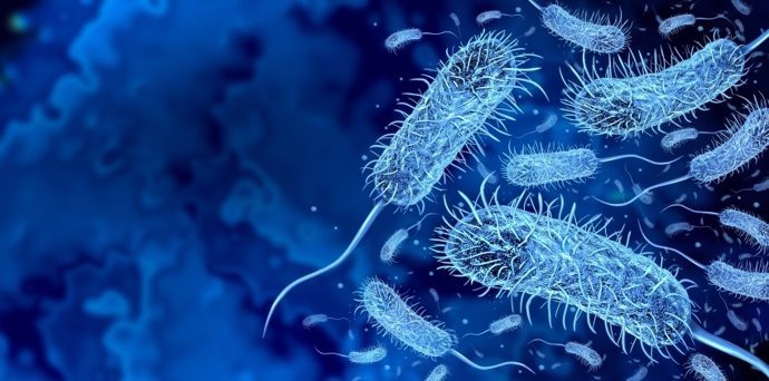 la oms registra en mayo un aumento del 35 del numero de casos de colera a nivel mundial