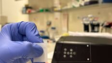 una tecnica permite analizar millones de celulas individuales sin necesidad de secuenciarlas