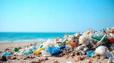 hallan microplasticos en semen y ovulos un riesgo para la fertilidad