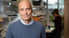 identifican las celulas que generan nuevas neuronas en el cerebro adulto humano