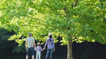 banos de bosque virtuales alivian el estres en contacto con la naturaleza sin salir de casa