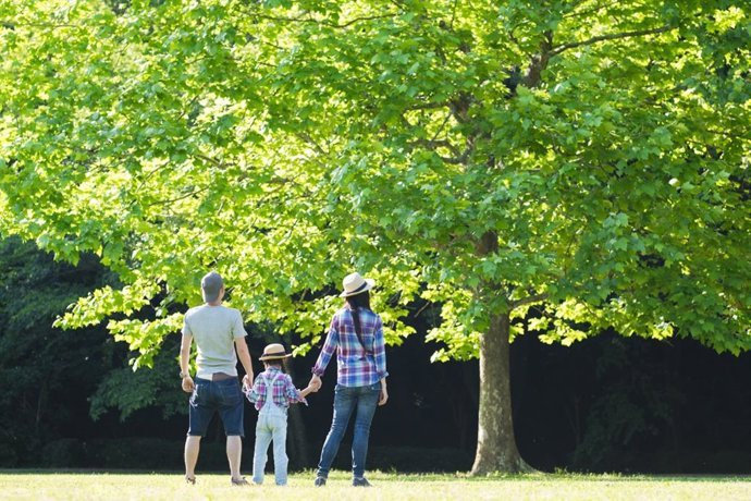 banos de bosque virtuales alivian el estres en contacto con la naturaleza sin salir de casa