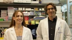 identifican una nueva diana para evitar la metastasis en cancer de mama