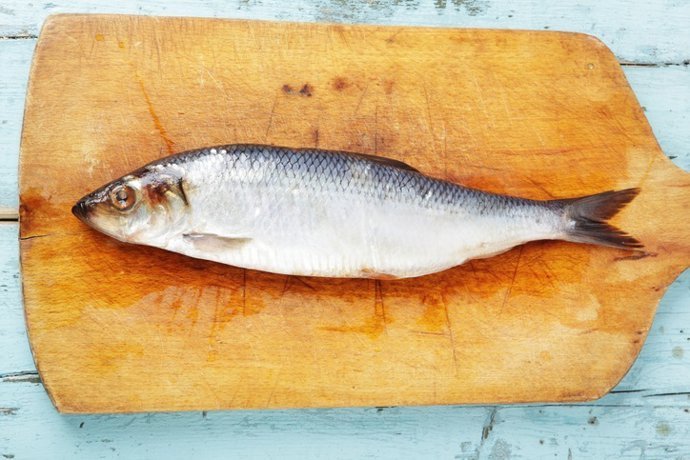 esta sencilla maniobra en el pescado puede reducir riesgo de anisakiasis