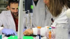 desarrollan una vacuna de arn mensajero que logra reducir el numero y tamano de las metastasis