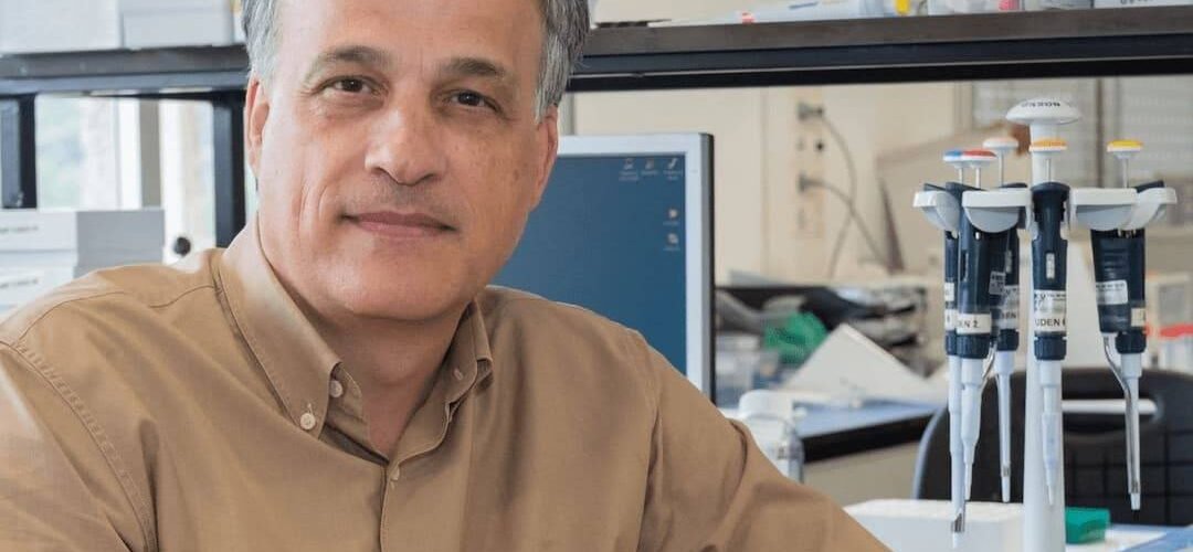 la microbiota nace y madura con nosotros es unica para cada persona