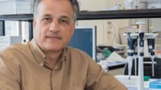 la microbiota nace y madura con nosotros es unica para cada persona