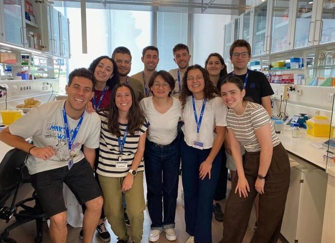comer verdura fruta legumbres y cereales integrales ayuda a la microbiota