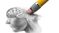 alzheimer y colesterol un fallo en la captacion neuronal podria explicar la enfermedad