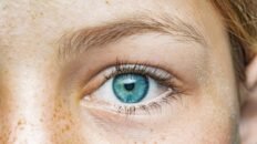 celulas de la retina rescatan la vision diurna en un modelo de retinosis pigmentaria